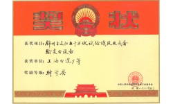 500kV Special Award